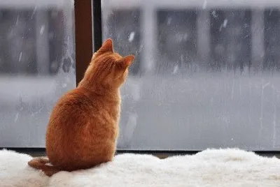 winter