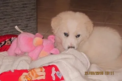 Athos