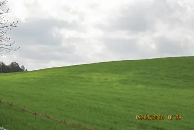 TUSCIA