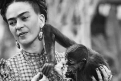 frida