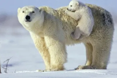 Please Mom give me a lift
