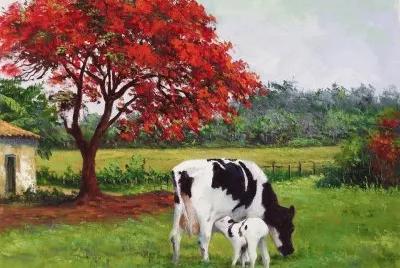 animais