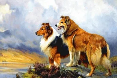 פאזל של cÃ£es