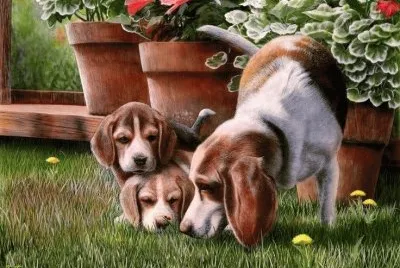 פאזל של cÃ£es