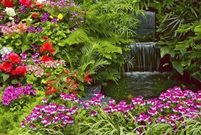 natureza