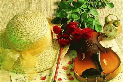 violino
