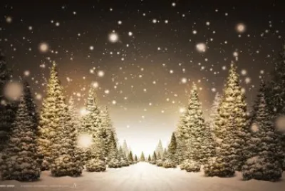 פאזל של winter