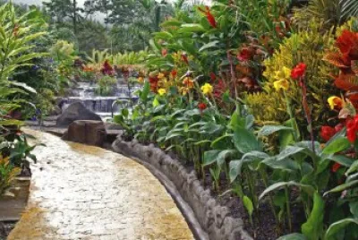 Garden View jigsaw puzzle