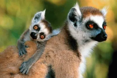 mothers babies
