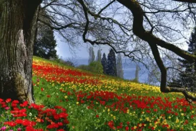 A day for a Walk jigsaw puzzle