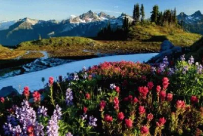 Spring Scenery