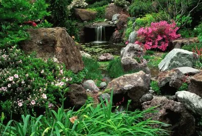 Beautiful Garden