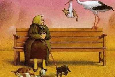 Gatos