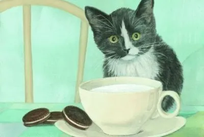 Gatos
