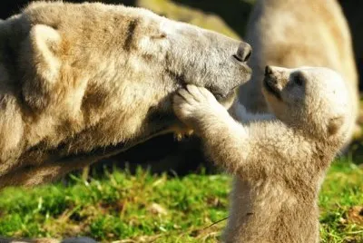 mom #134