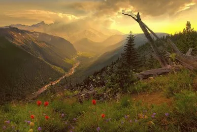 Paisatje jigsaw puzzle