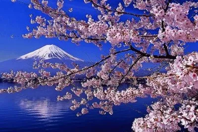 mont fuji japon