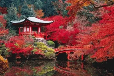 jardin japonais
