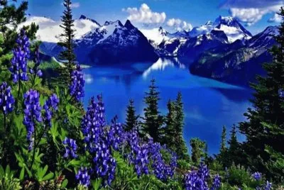 paysage de montagne