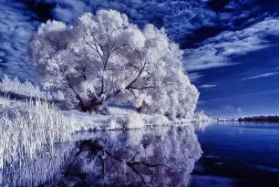 hiver bleu