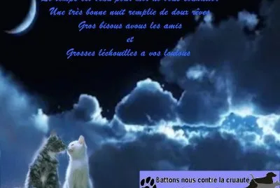 proverbes