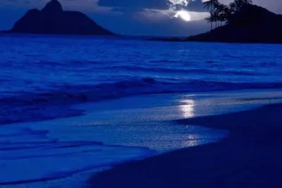 bleu