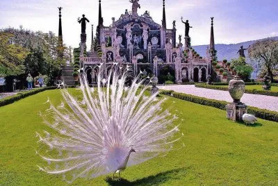 temple au paon