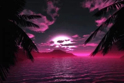 nuit rose