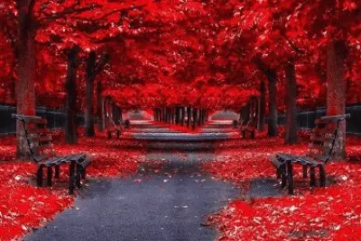 monde rouge