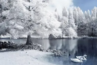 hiver