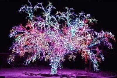 arbre de lumiÃ¨re