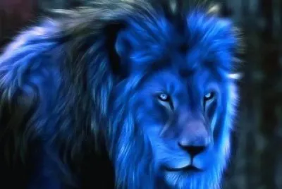 lion