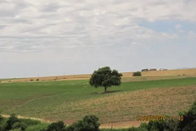 tuscia