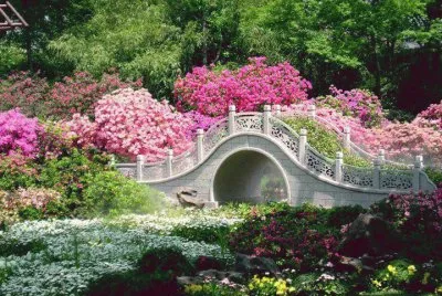 jardin