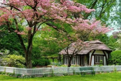 cottage jigsaw puzzle