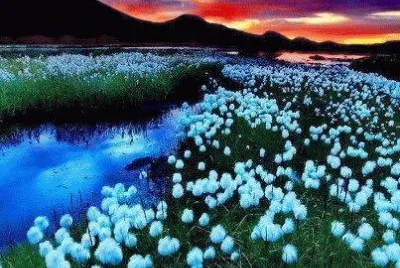 paysage jigsaw puzzle