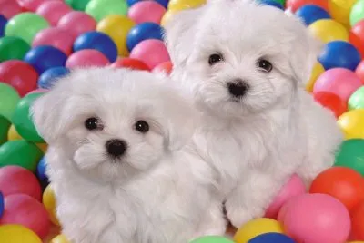 :33
