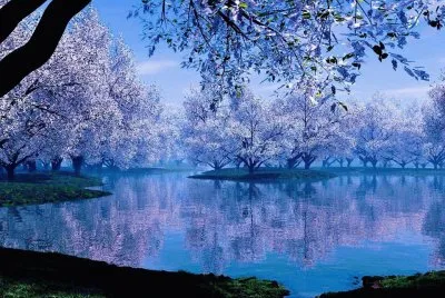 hiver