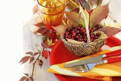 Berries basket cloth Plates