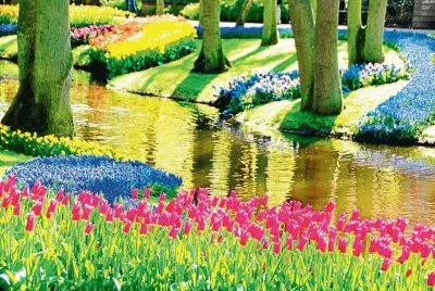 Parque de colores