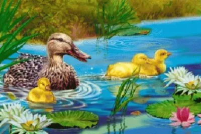 image jigsaw puzzle