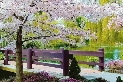natureza