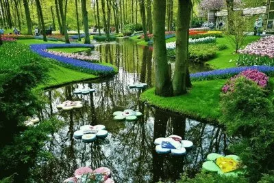 natureza