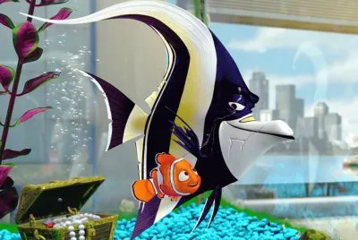 nemo7