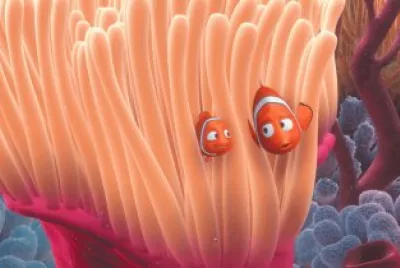 פאזל של nemo9