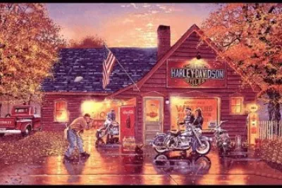 z11 jigsaw puzzle