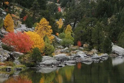 lago