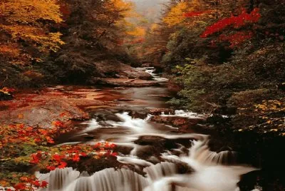 autum