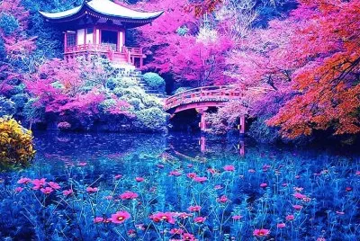 jardin japonais