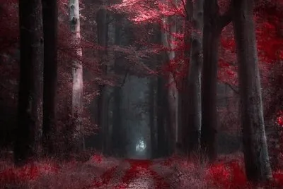 foret rouge